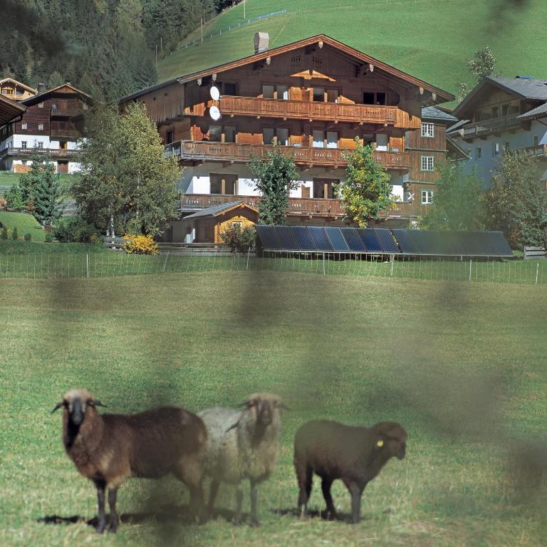 Ferienpension Senfter Innervillgraten Exterior photo